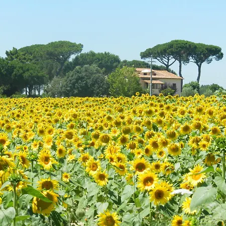 Boschetto Del Lago Castiglione del Lago Exterior photo