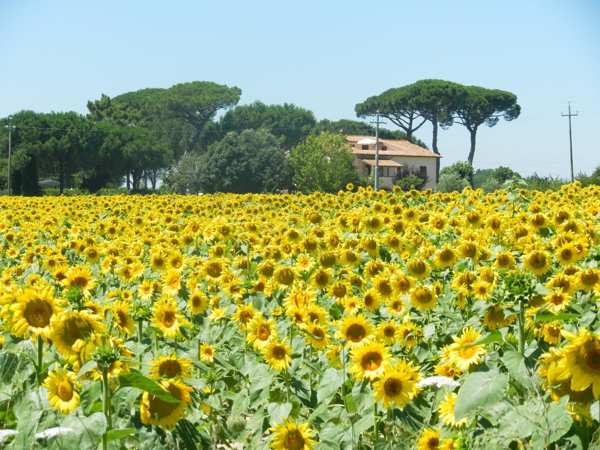 Farm stay Boschetto Del